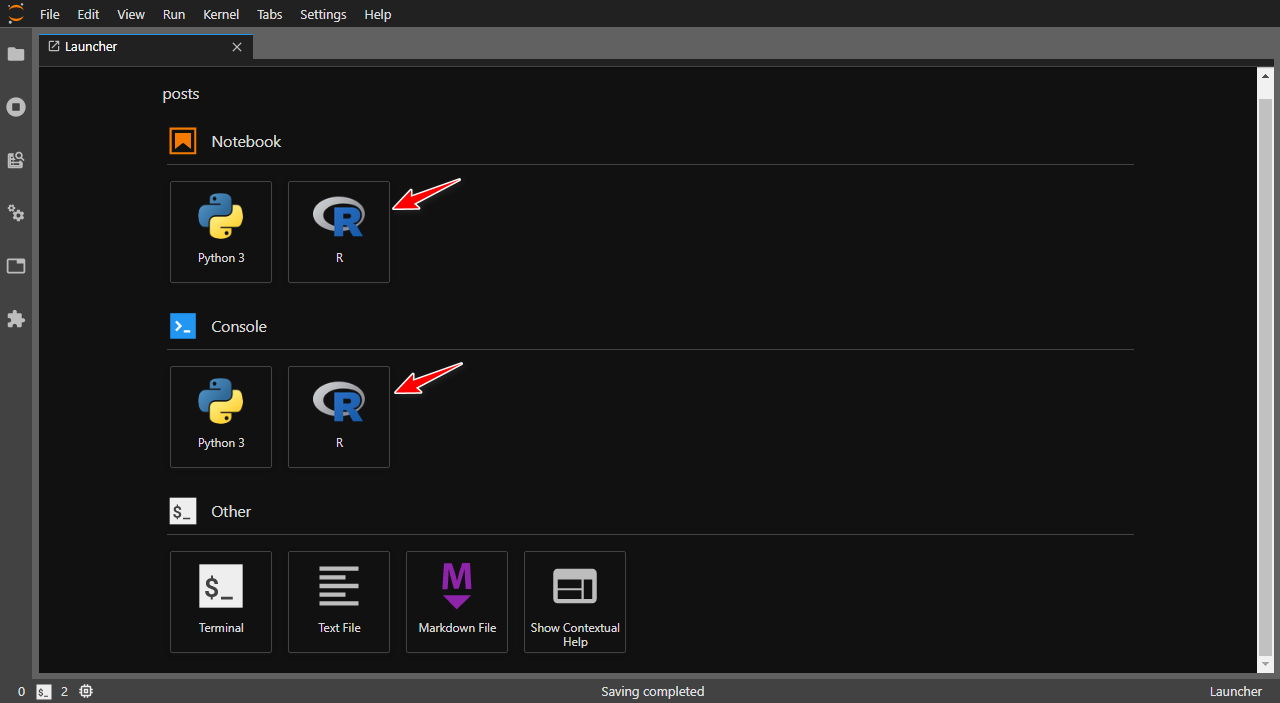 R kernel in JupyterLab